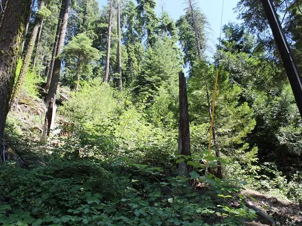 54993 Alder Dr, Springville, CA 93265