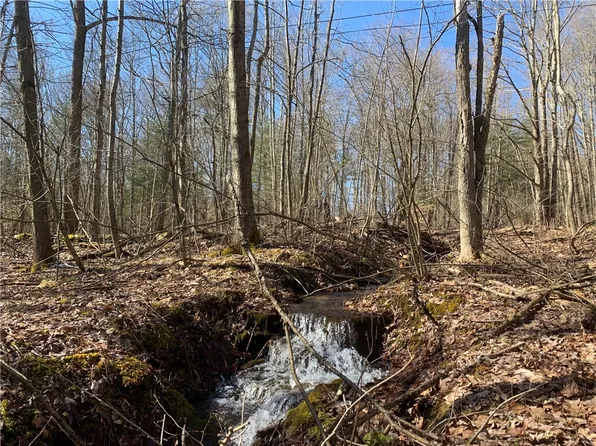 (undisclosed Address), Oneonta, NY 13820