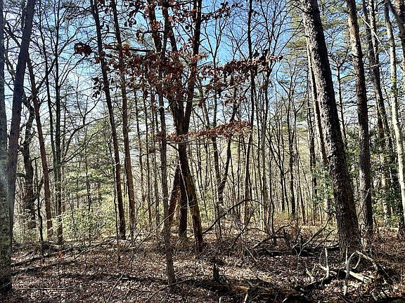 4th image of 0 Hobbstown Rd
