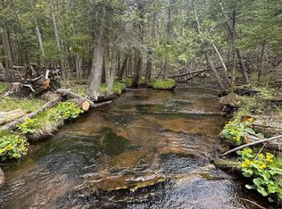 4390 Valley Rd NW, Rapid City, MI 49676