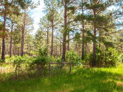 7185 Bill Dorn Rd, Appling, GA, 30802