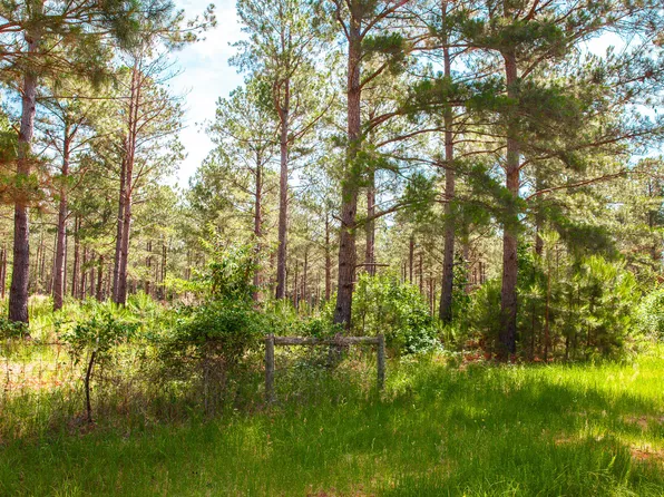 7185 BILL DORN Road, Appling, GA 30802