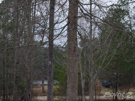 Water Only Steps Away