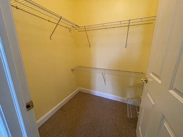 Bedroom Walk-In Closet