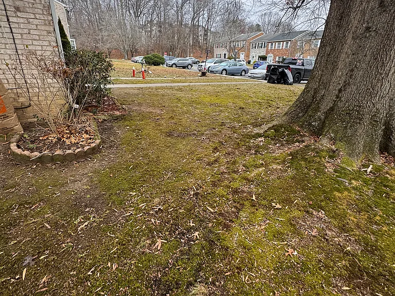 9015 Cheval Ln — Photo 10