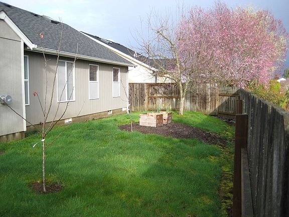 Back / Back yard