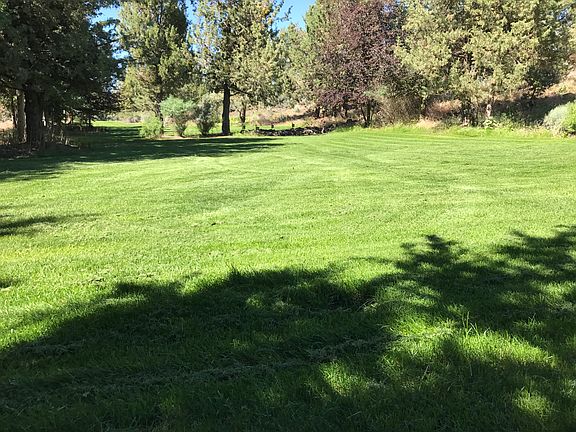 Lower lawn