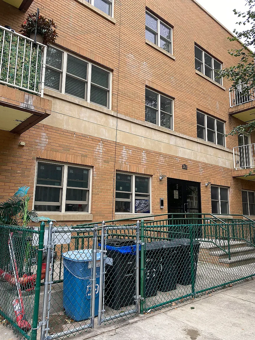 263 East 9th Street — Photo 1