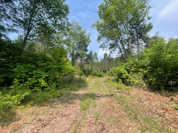 V/l 80a McPherson Rd, Alden, MI 49612