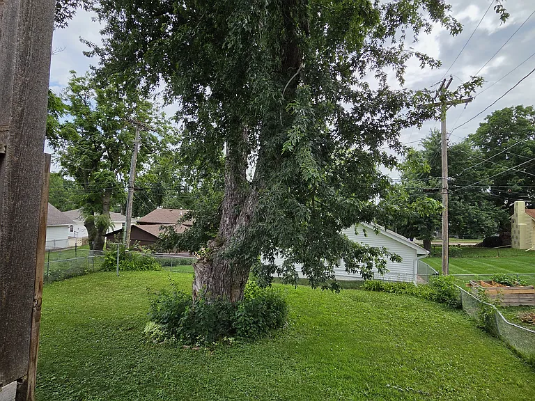 Fenced backyard