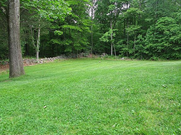 backyard - 27 Cedar Hill Rd