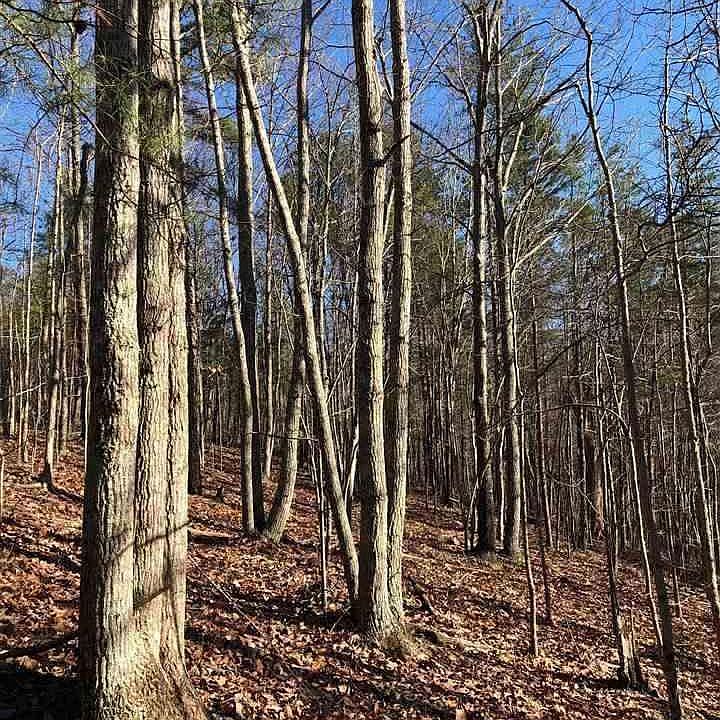 2nd image of 5610 Clay Palmerdale Rd #2