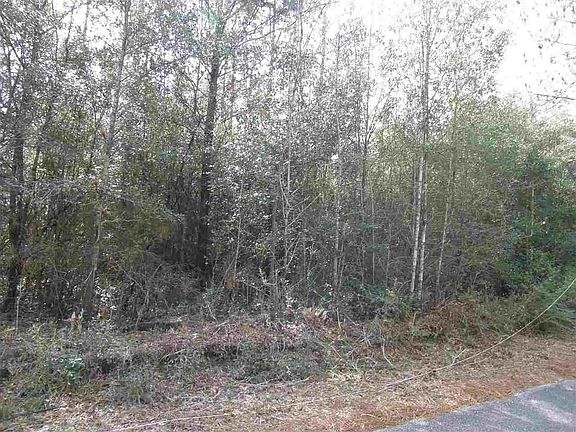 4th image of 8.26 Ac Abb Pitman Rd