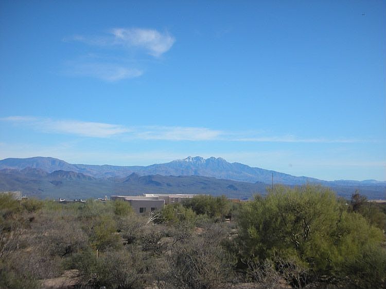 Experience the Beauty of the Desert!