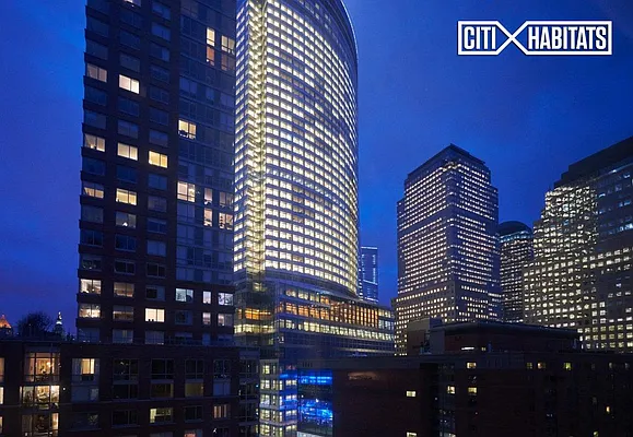 Rented by Citi Habitats | media 12