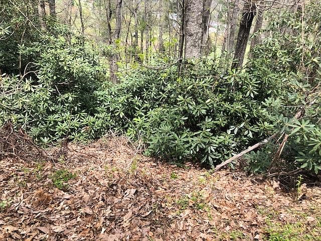 2nd image of Hickory Hill Dr