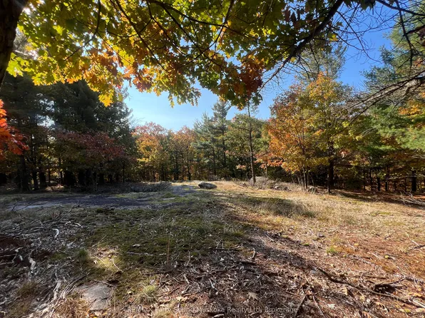 13 Ridgeway Dr, Carling, ON P0G 1G0