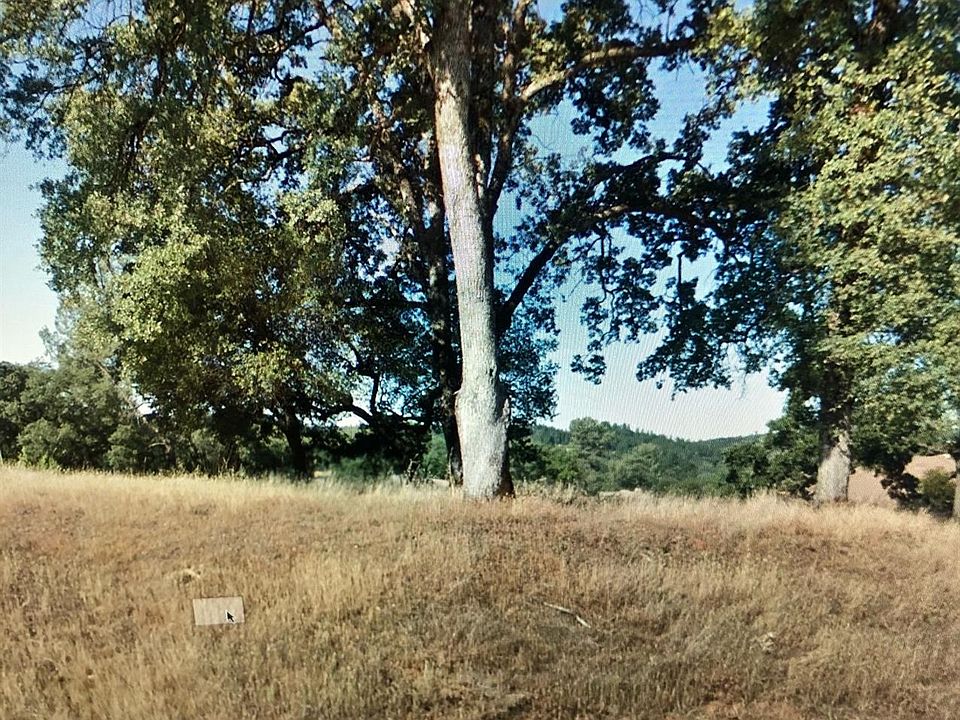 2nd image of 12867 Austin Forest Cir