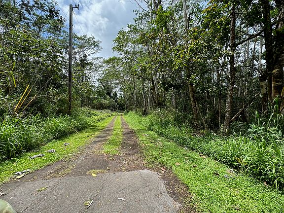 3rd image of Church Cir Lot 808
