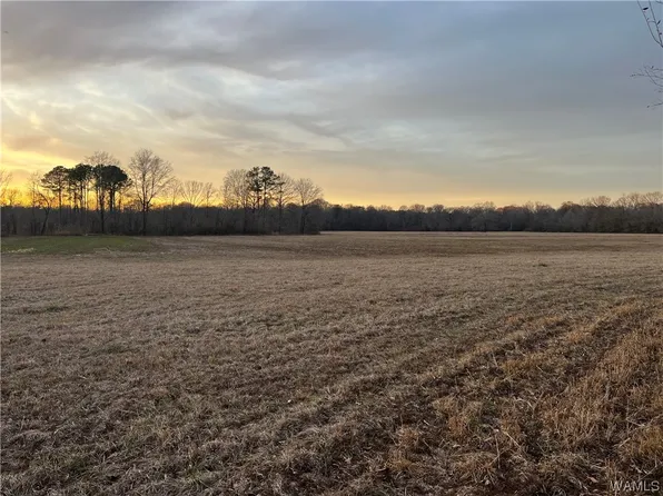 0 County Road 35, Ethelsville, AL 35461