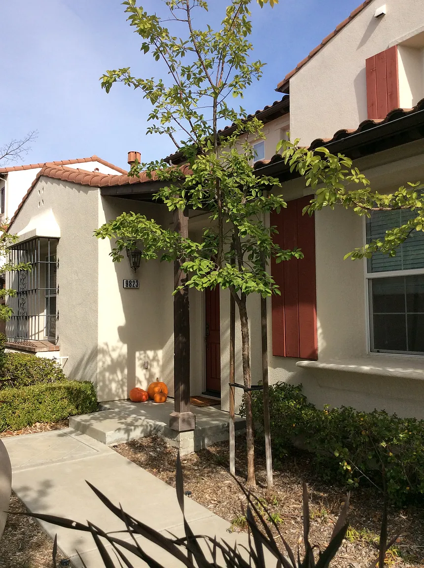 9823 Belladonna Dr photo 1