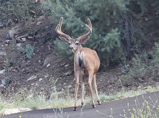 2100 Hickory Ct Lot 463, Pine Mountain Club, CA 93222