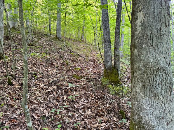 Leatherbark Rd LOT WP001, Smithville, WV 26178