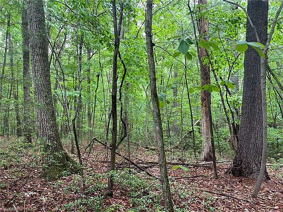4th image of 0 Cedar Trl #12