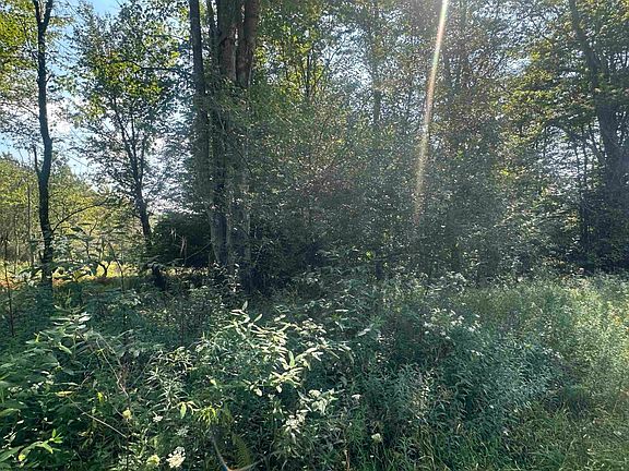 2nd image of LOT 47 Lira Ln