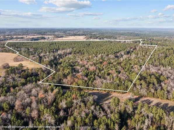 Fm 3016, Grapeland, TX 75844