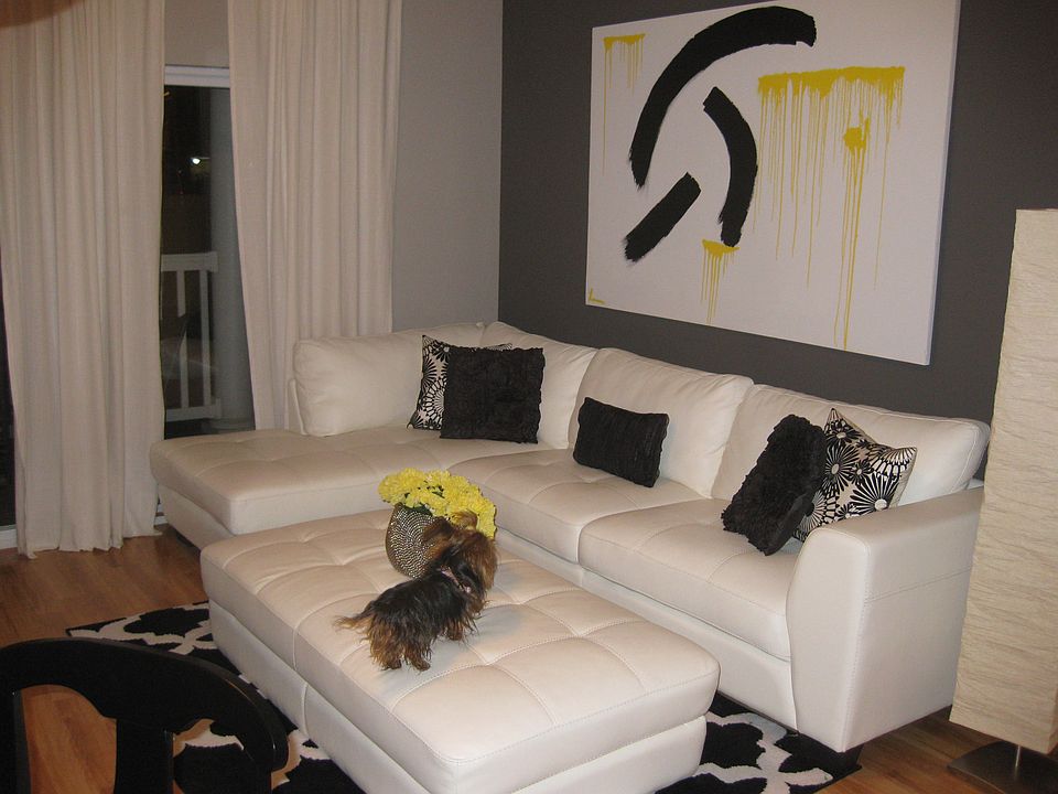 Yorkie not included