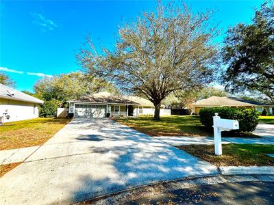 1135 Mount Rainier Ct, Apopka, FL, 32712