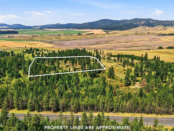3rd image of 9.5 Acres Ranch Rd