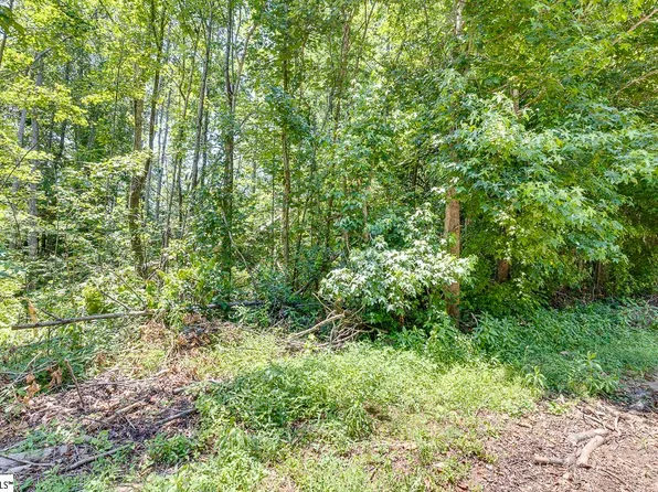 1208 Bradford Creek Ln, Taylors, SC 29687