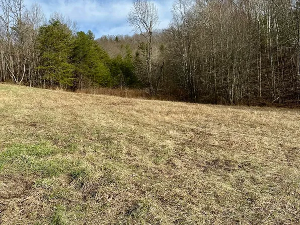 Mullins Ln, Sunbright, TN 37872