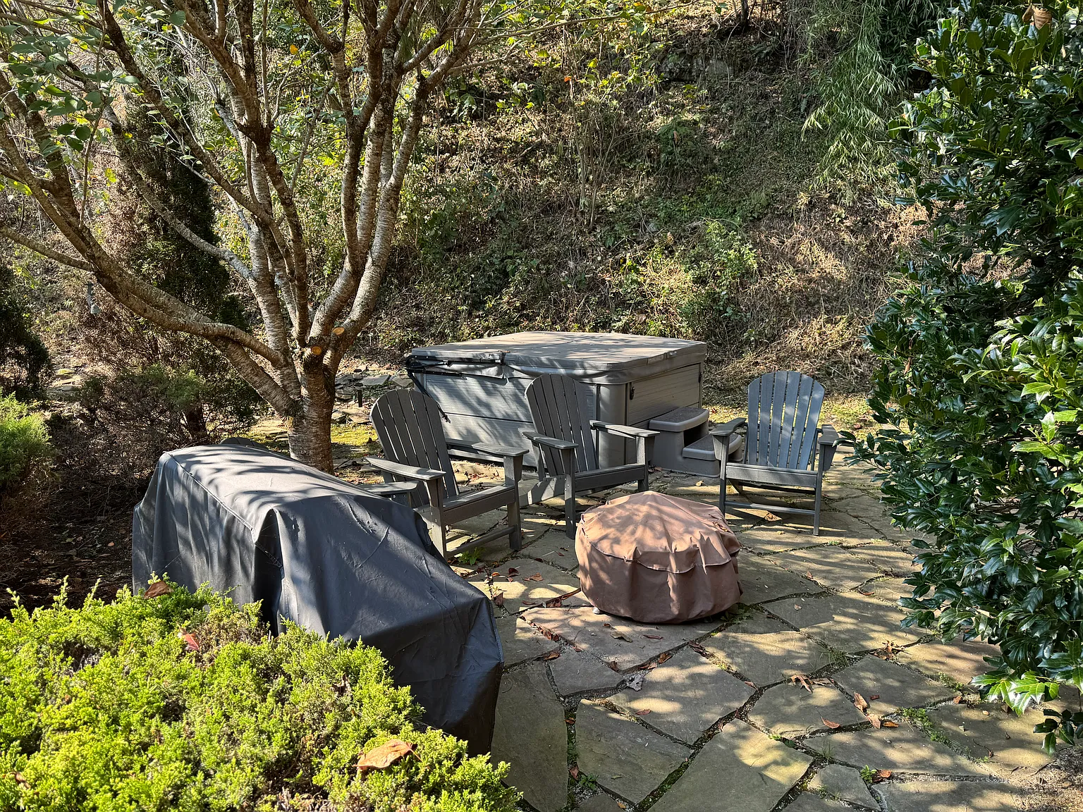 3 bed, $3,100 — Photo 4