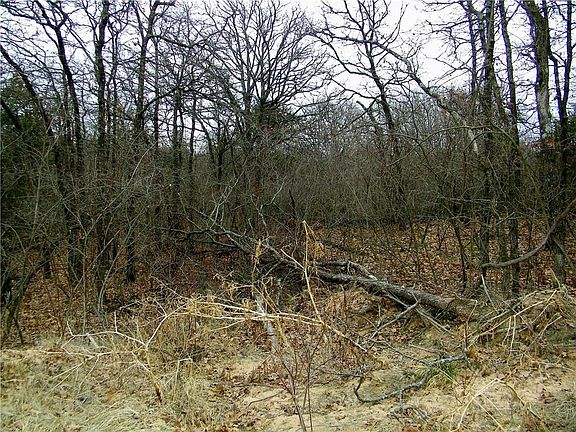 4th image of Shady Oaks Ln Lot 2