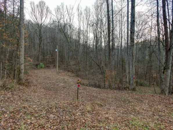 4120 Highland Rd Lot 24, Cosby, TN 37722