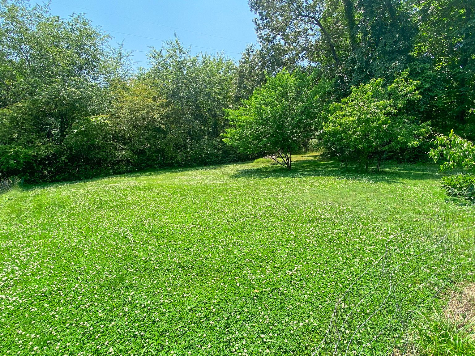 9503 Birchwood Pike 3, Harrison, TN 37341 Zillow
