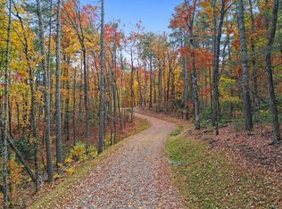 2 Wilderness Trl, Blue Ridge, GA 30513