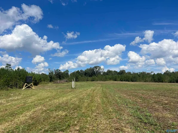140/ACRE S Highway 157, Leighton, AL 35646