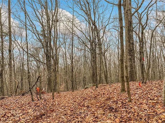 5th image of 1 Mount Mincie Rd