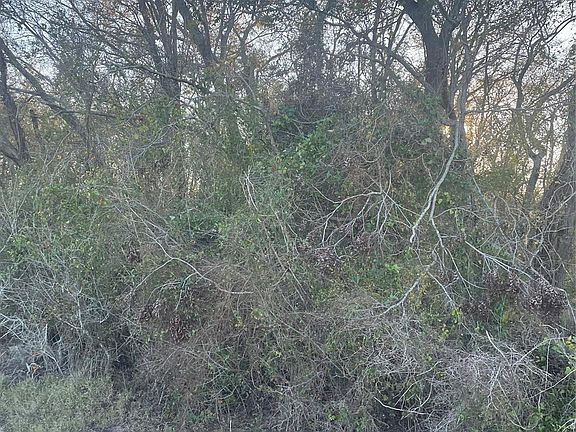 5th image of 0 County Road 428