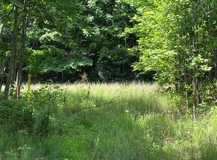 199 Cherry Hl, Mill Spring, NC 28756