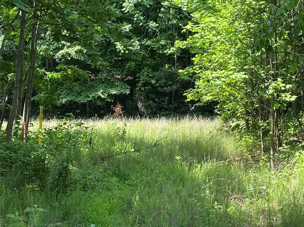 199 Cherry Hl, Mill Spring, NC 28756