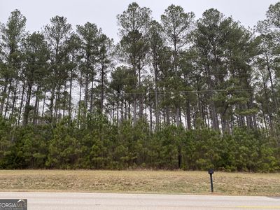 0 Rd Lowr Jersey, Jersey, GA, 30018