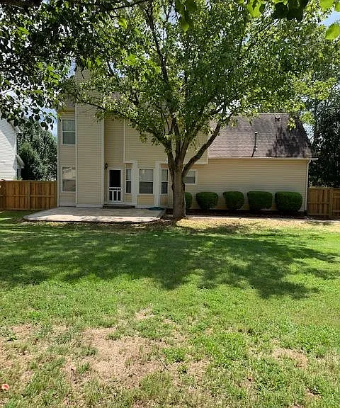 View from back yard