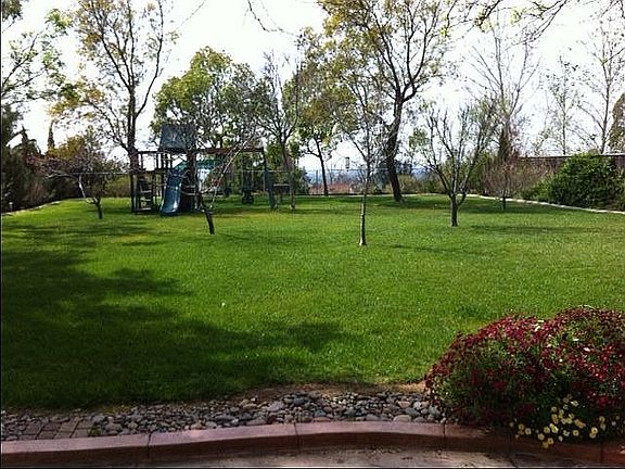 Park like huge yard!