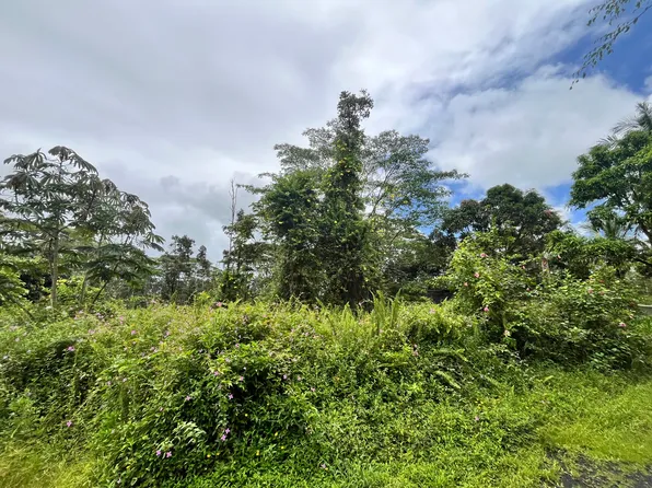Lehua Rd Lot 146, Pahoa, HI 96778