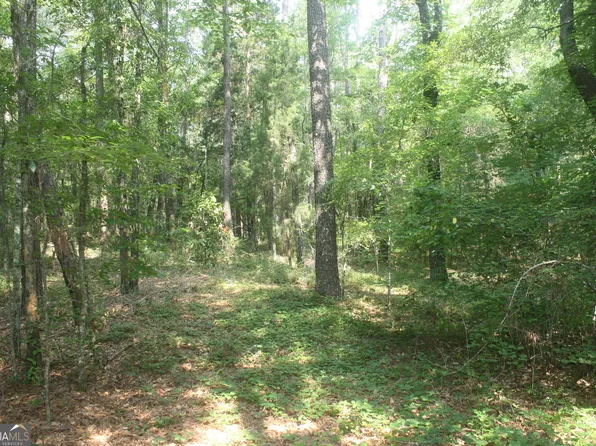 176 Seagull Rd, Cochran, GA 31014